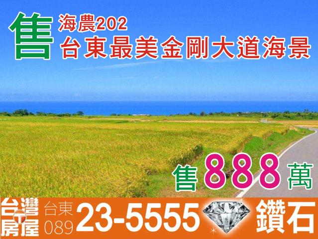 台東長濱農地-1