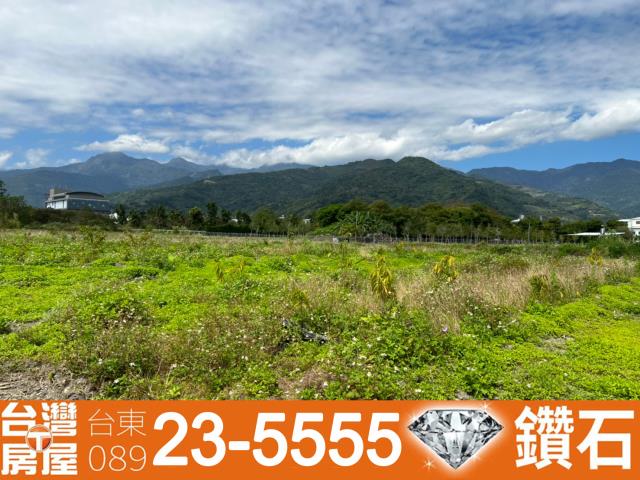 台東房屋仲介公司