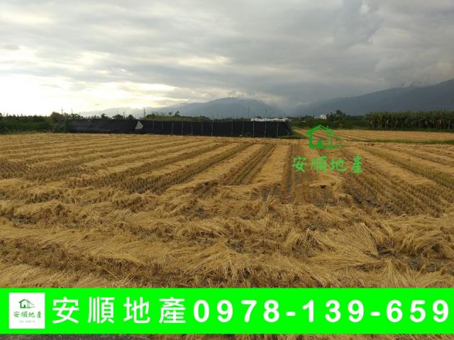 台東台東市農地-1