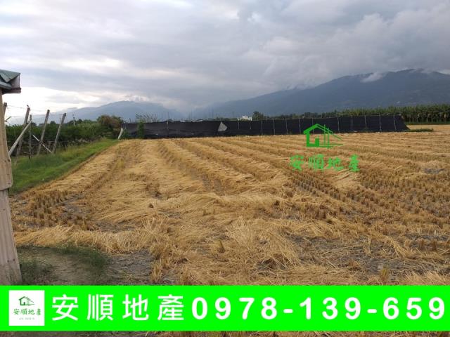 台東台東市農地-2