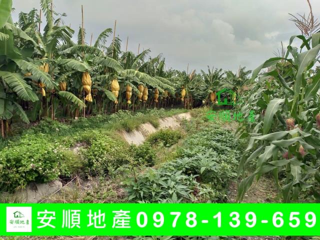 台東台東市農地-3