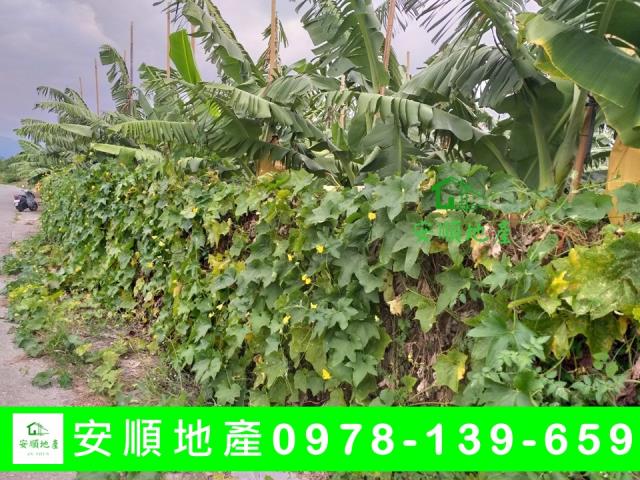 台東台東市農地-5