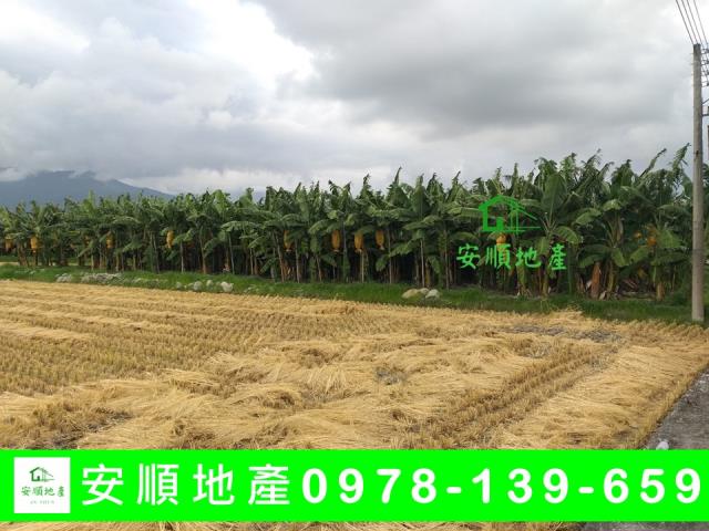 台東台東市農地-6