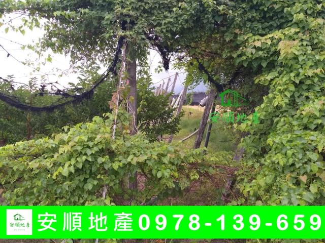 台東台東市農地-7