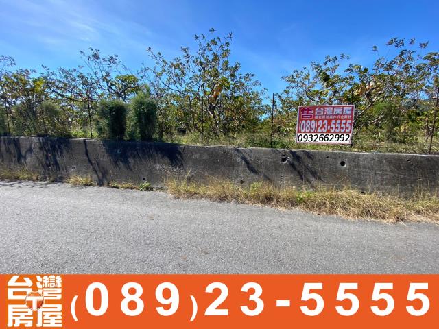 鑽石台東房地產買賣