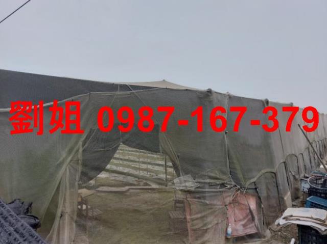 屏東萬丹農地-1