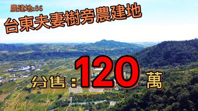 台東夫妻樹旁農建地