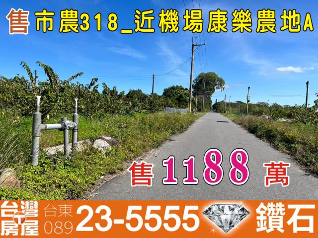 台東台東市農地-1