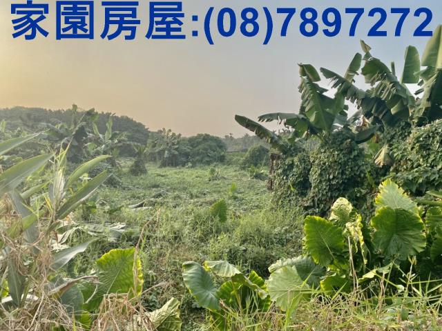 屏東萬巒農地-2