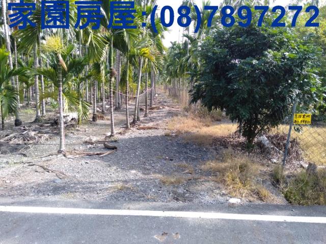 屏東新埤農地-2