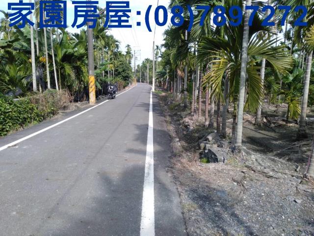 屏東新埤農地-1