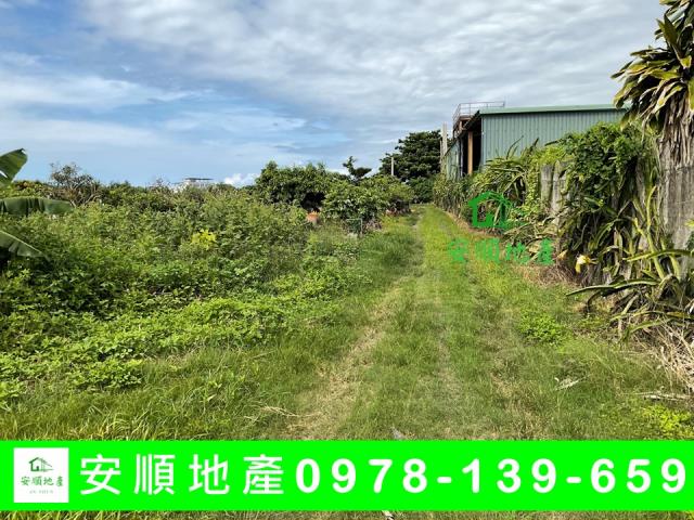 台東台東市農地-2