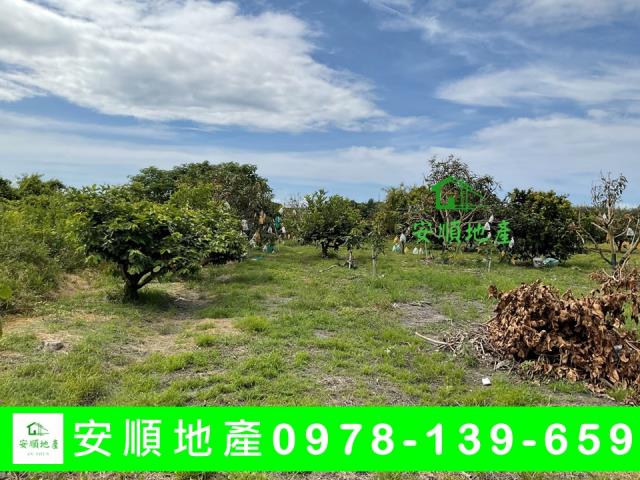 台東台東市農地-3