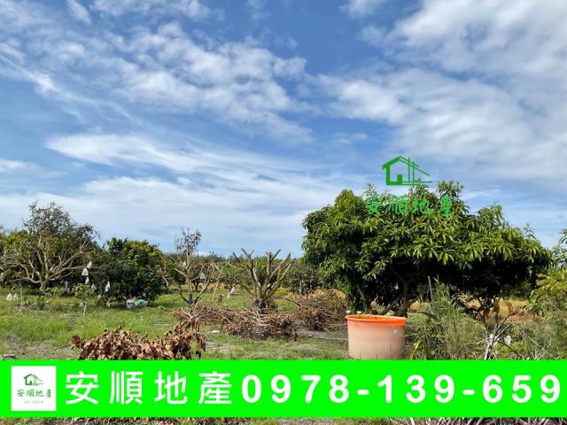 台東台東市農地-4