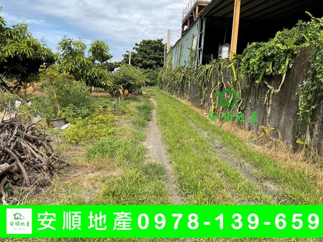 台東台東市農地-5