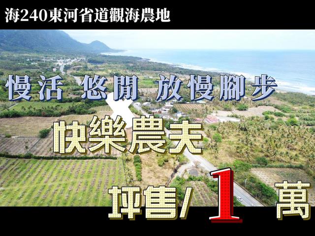 東河省道觀海農地