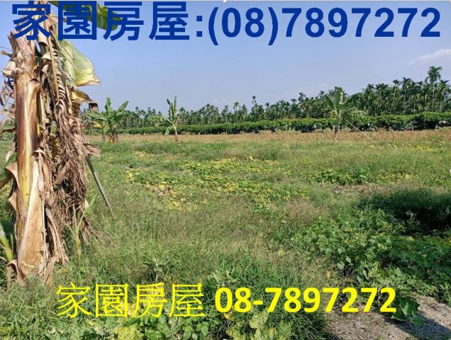 屏東南州農地-11