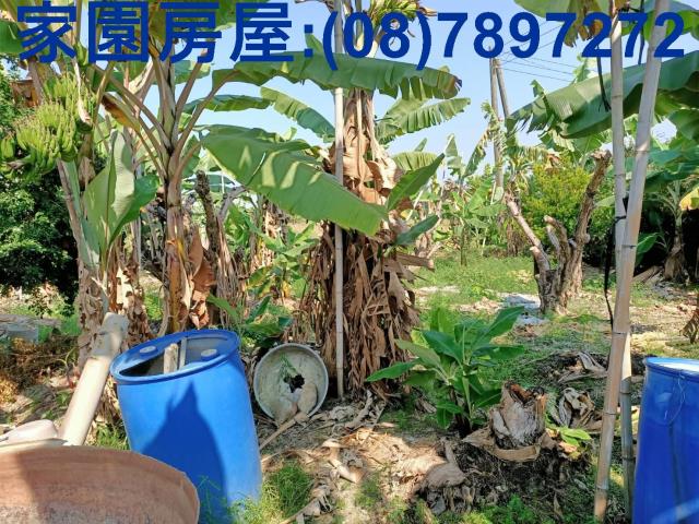 屏東南州農地-5