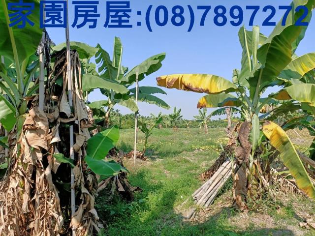 屏東南州農地-6