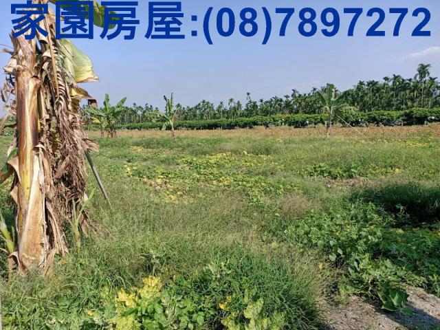 屏東南州農地-7