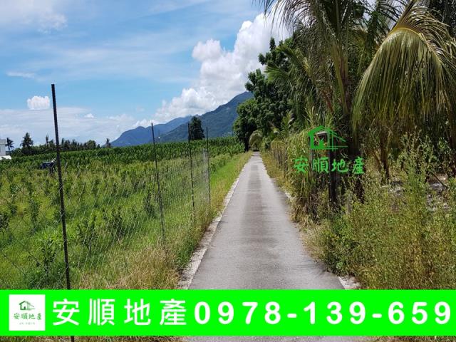 台東卑南農地-1