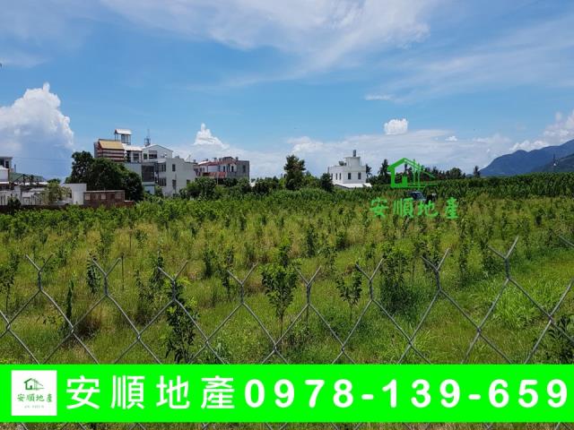 台東卑南農地-4