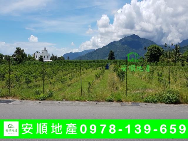 台東卑南農地-5