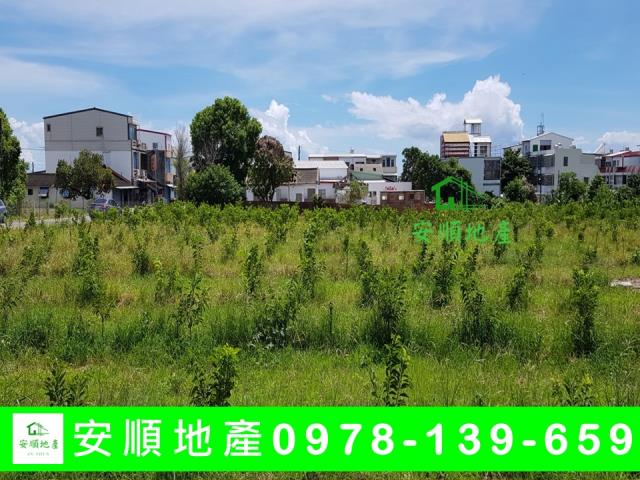 台東卑南農地-6