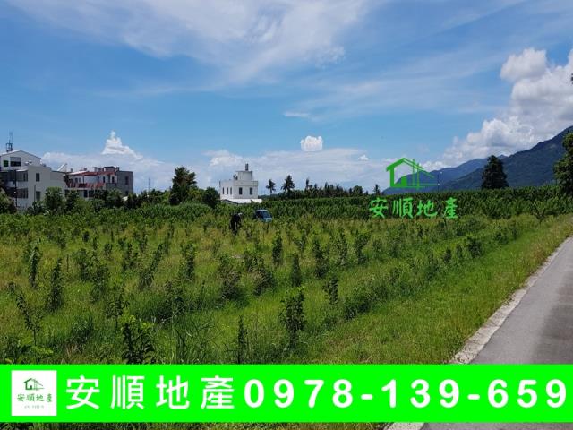 台東卑南農地-7