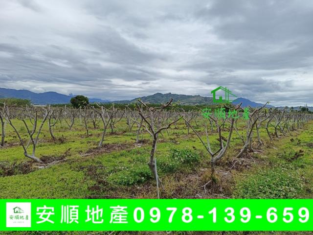 台東卑南農地-1