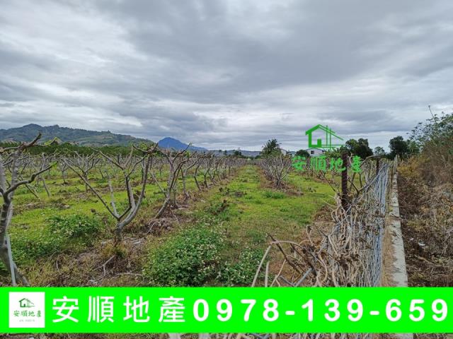 台東卑南農地-2