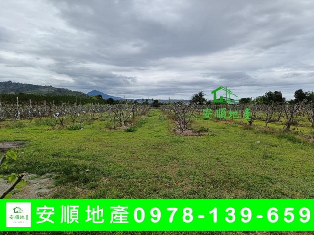 台東卑南農地-4