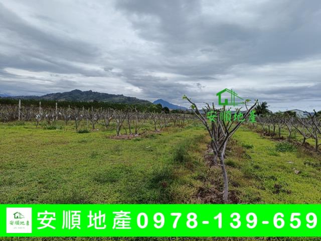 台東卑南農地-6