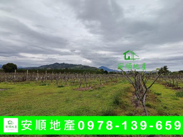 台東卑南農地-7