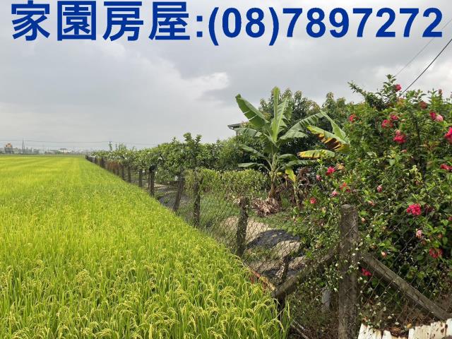 屏東萬丹農地-7