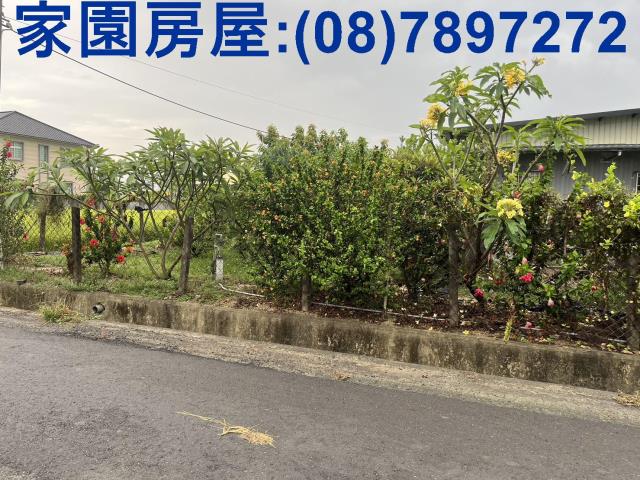 屏東萬丹農地-8