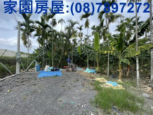 潮州農地-6