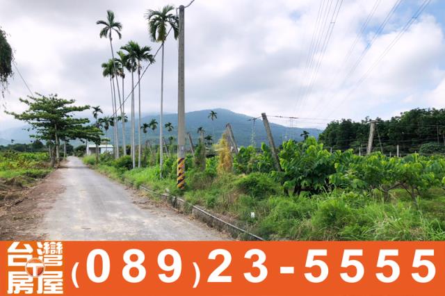 台東土地買賣