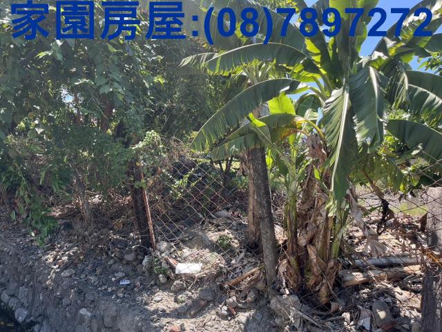 屏東潮州農地-4