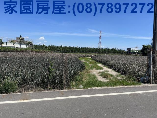 屏東潮州農地-5