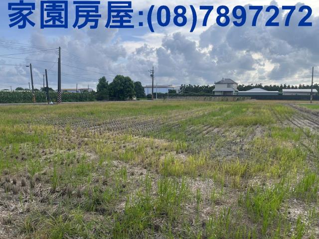 屏東萬丹農地-1