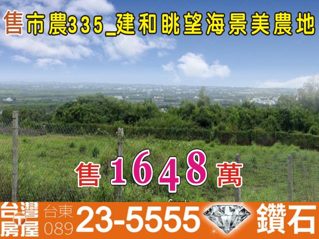 台東台東市農地-1