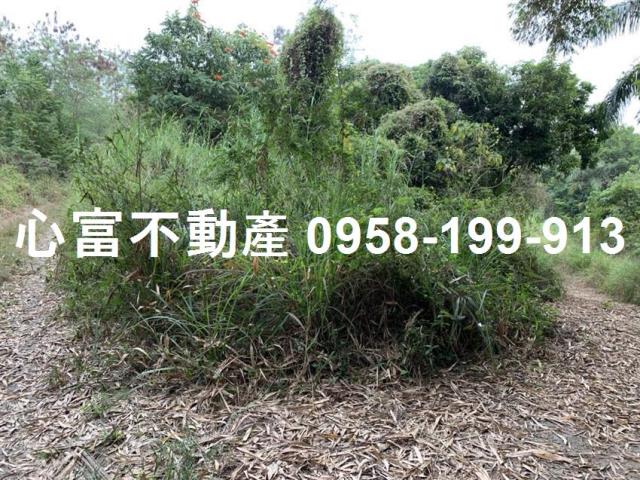 高雄燕巢農地-2