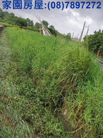 屏東潮州農地-3