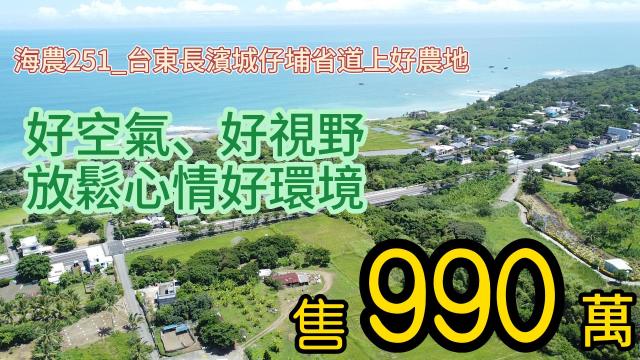 長濱城仔埔省道上好農