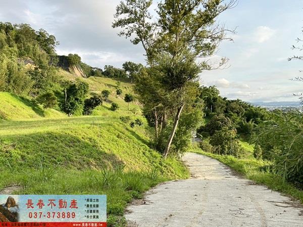 苗栗公館農地-11