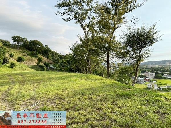 苗栗公館農地-12