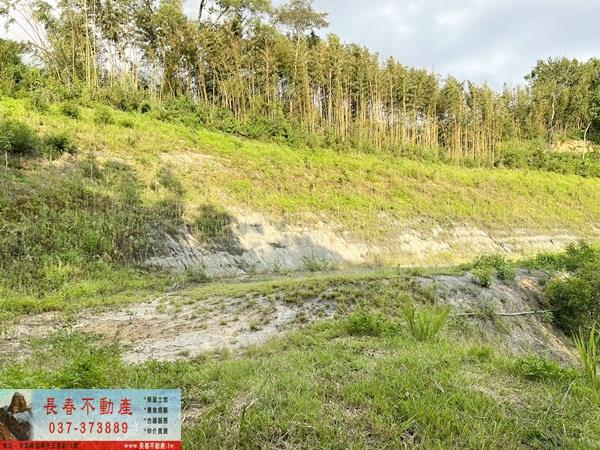 苗栗公館農地-9