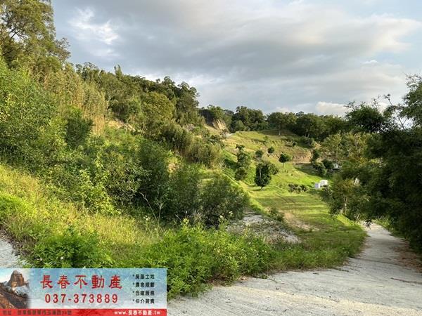 苗栗公館農地-14