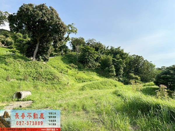 苗栗公館農地-2